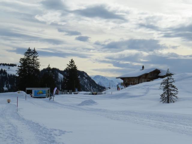 wir sind wieder beim Lägerstutz 1559 m.ü.M.