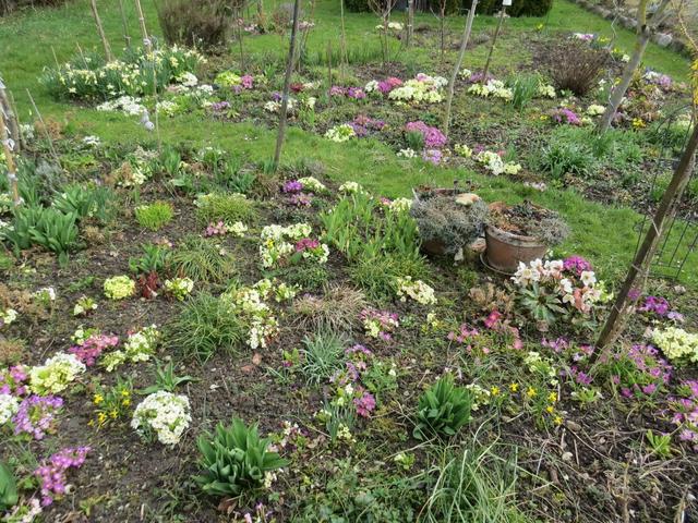 vorbei an schönen Blumen, verlassen wir Meersburg