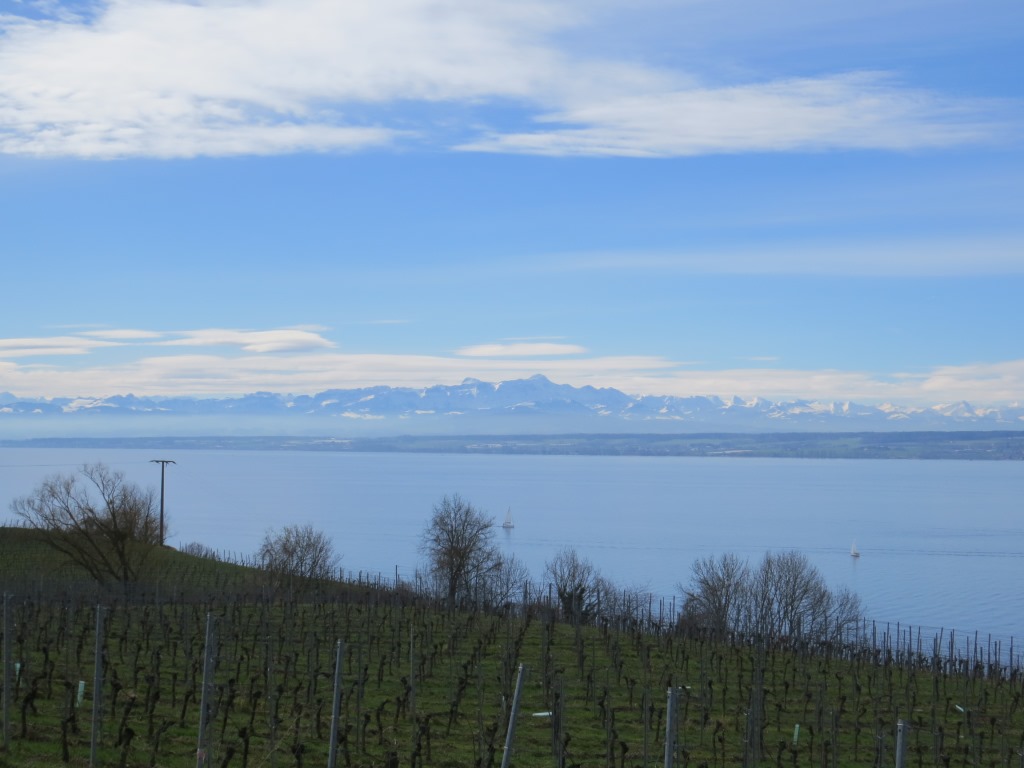 der Säntis ist ganz klar der am besten ersichtliche Berg. Die Urner- und Berneralpen sind auch gut ersichtlich