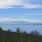 der Säntis ist ganz klar der am besten ersichtliche Berg. Die Urner- und Berneralpen sind auch gut ersichtlich