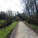 zwischendurch führt uns der Wanderweg durch kleine Wälder