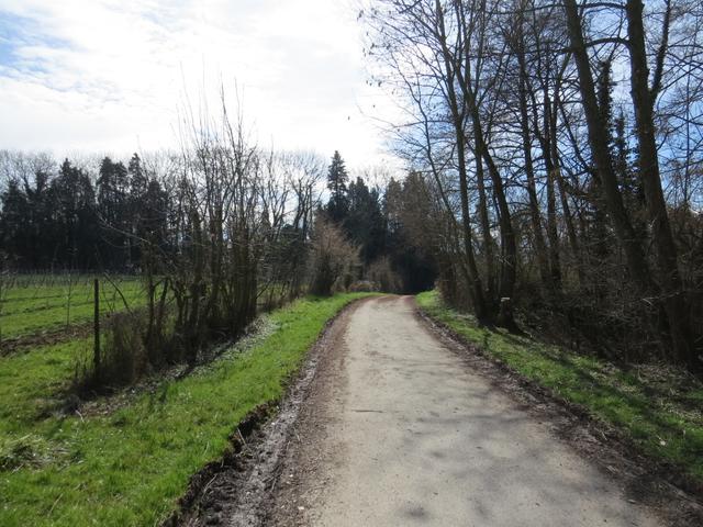 zwischendurch führt uns der Wanderweg durch kleine Wälder