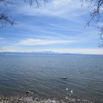 immer wieder können wir so ein schöner Ausblick auf den Bodensee geniessen