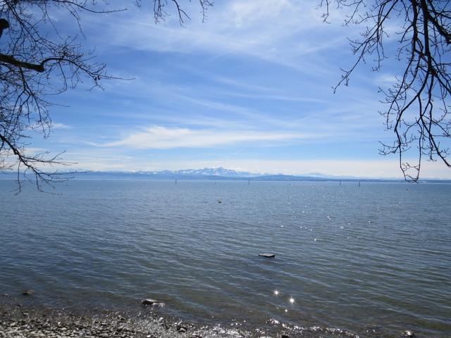 immer wieder können wir so ein schöner Ausblick auf den Bodensee geniessen