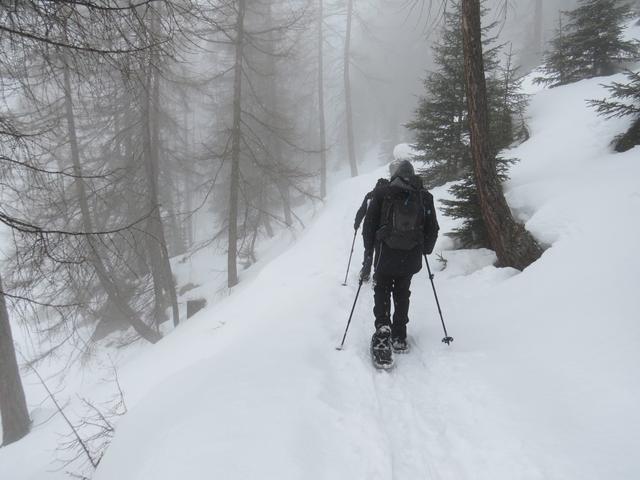 ...durchqueren wir den Wald von God Chavradüra, und die ein bisschen unter uns liegende Weggabelung bei Punkt 1741 m.ü.M.