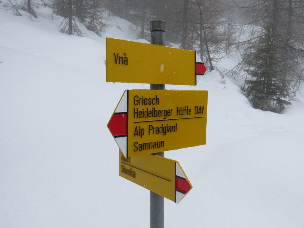 im tief verschneiten Wald, erreichen wir die Abzweigung bei Punkt 1787 m.ü.M.