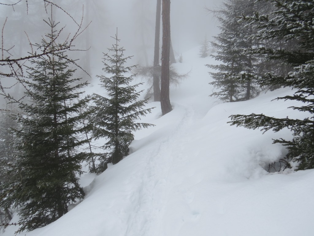 der normale Schneeschuhtrail zieht hier, auf fast gleich bleibender Höhe, über Praschan nach Pra San Peder weiter