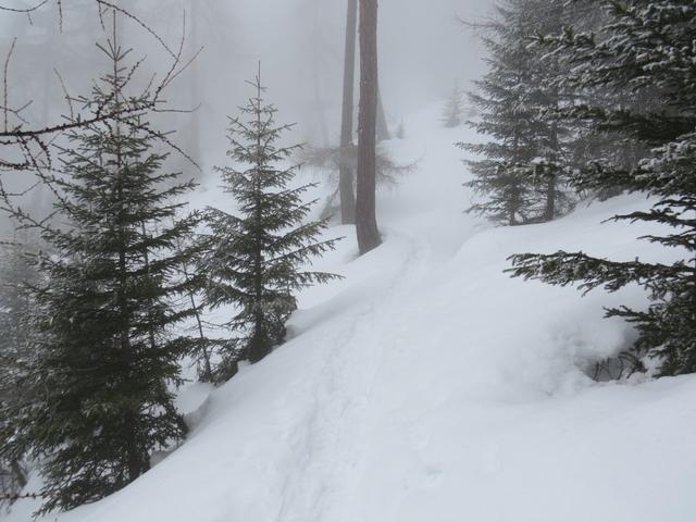 der normale Schneeschuhtrail zieht hier, auf fast gleich bleibender Höhe, über Praschan nach Pra San Peder weiter