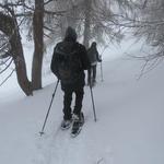 wir steigen aber weiter aufwärts und stapfen durch Knie hohen Tiefschnee, durch den Wald von Pradatsch