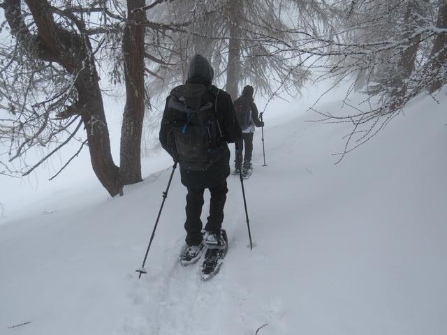 wir steigen aber weiter aufwärts und stapfen durch Knie hohen Tiefschnee, durch den Wald von Pradatsch