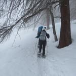 nach dieser schönen Mittagsrast packen wir wieder alles ein, und wandern weiter durch den Winterzauberwald