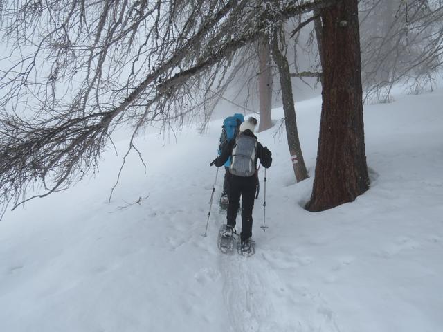 nach dieser schönen Mittagsrast packen wir wieder alles ein, und wandern weiter durch den Winterzauberwald