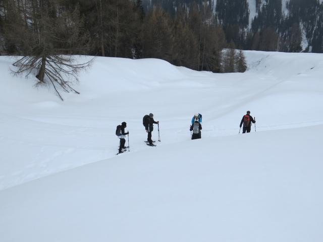 ...und erreichen bei Punkt 1812 m.ü.M. wieder den normalen Schneeschuhtrail