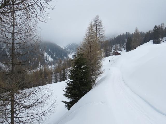 bei Punkt 1842 m.ü.M. biegen wir bei der Weggabelung links ab...