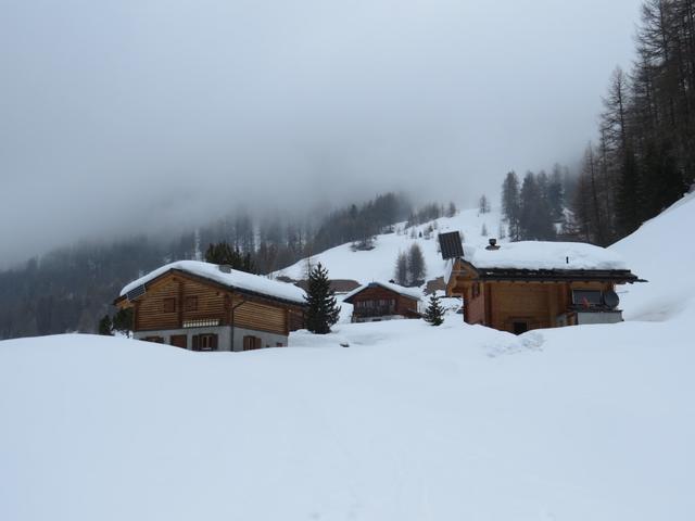 ...bis zu deren Ende beim Hof Griosch 1816 m.ü.M. im Talesinnern