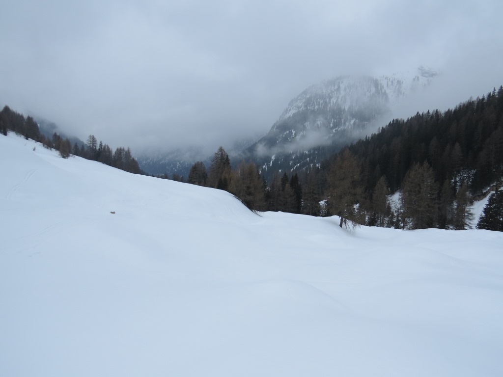 der Schneeschuhtrail führt nun einen Bogen durch, und führt uns nun alles talauswärts