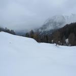 der Schneeschuhtrail führt nun einen Bogen durch, und führt uns nun alles talauswärts