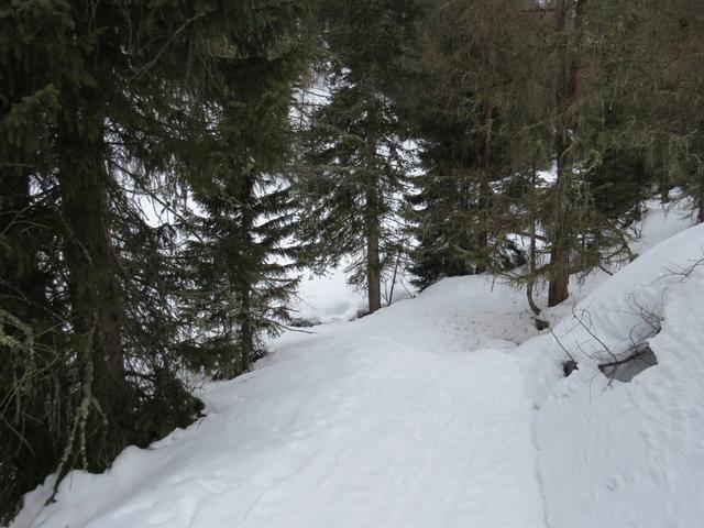 nach dem überqueren des Baches...