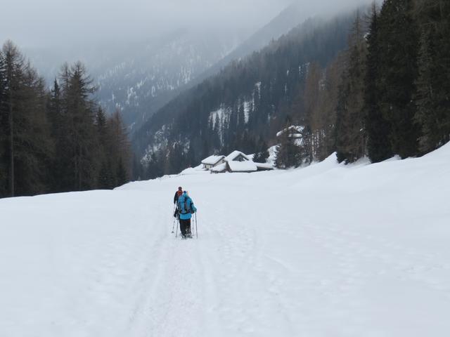 unerwartet taucht der Hof Zuort weitab von Lärm und Hektik inmitten der Bergwelt, als helle Lichtung aus dunklen Tannen