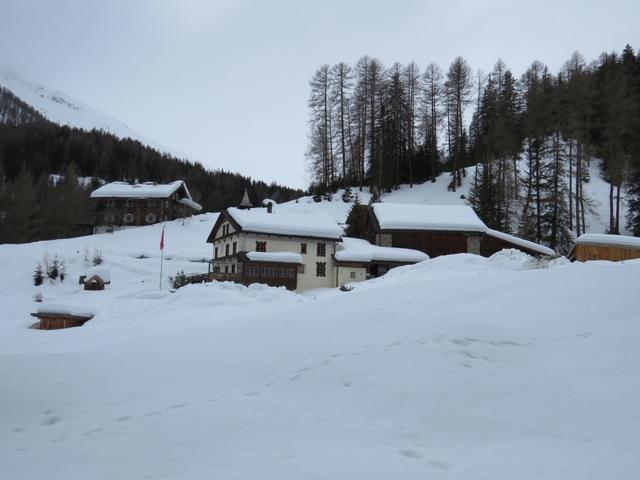 Blick zurück zum Hof Zuort und zum Chalet. Hier fühlt man sich wohl