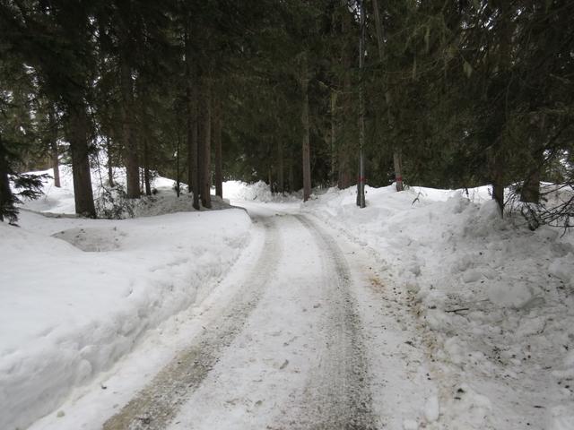 auf der Alpstrasse laufend, verlassen wir den Hof Zuort 1714 m.ü.M.