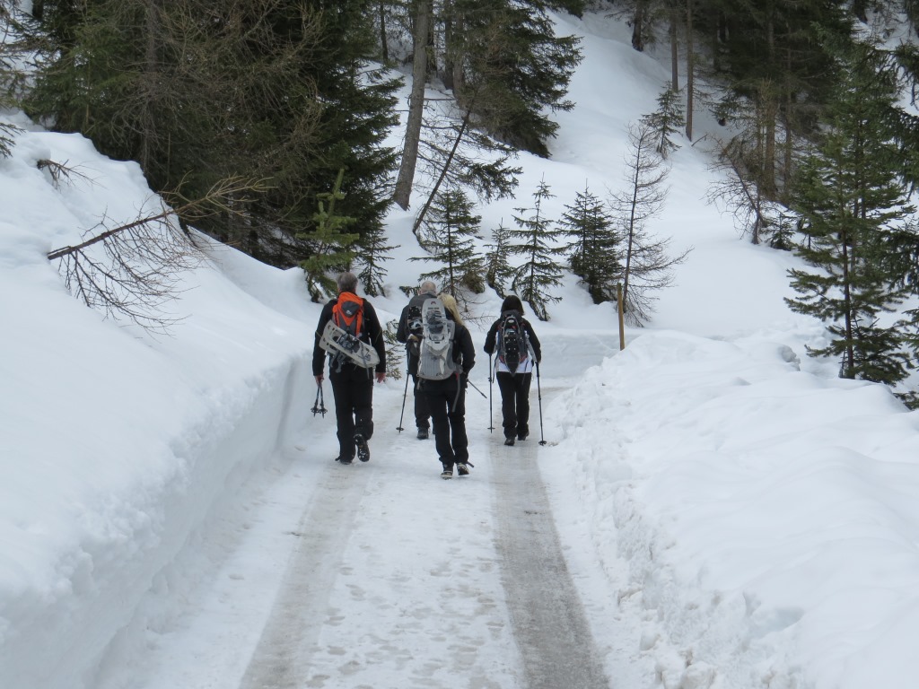 die verschneite Waldstrasse führt uns an Punkt 1741 m.ü.M. vorbei