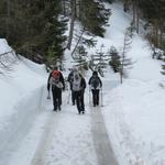 die verschneite Waldstrasse führt uns an Punkt 1741 m.ü.M. vorbei