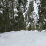 tief und steil fällt hier der Berghang hinunter zum Bergbach Brancla