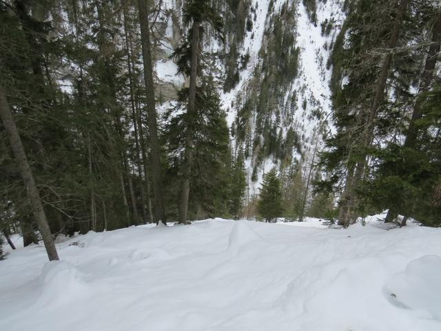 tief und steil fällt hier der Berghang hinunter zum Bergbach Brancla