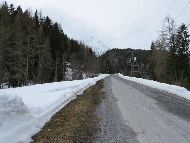 wir schultern unsere Rucksäcke und laufen der Strasse entlang aufwärts