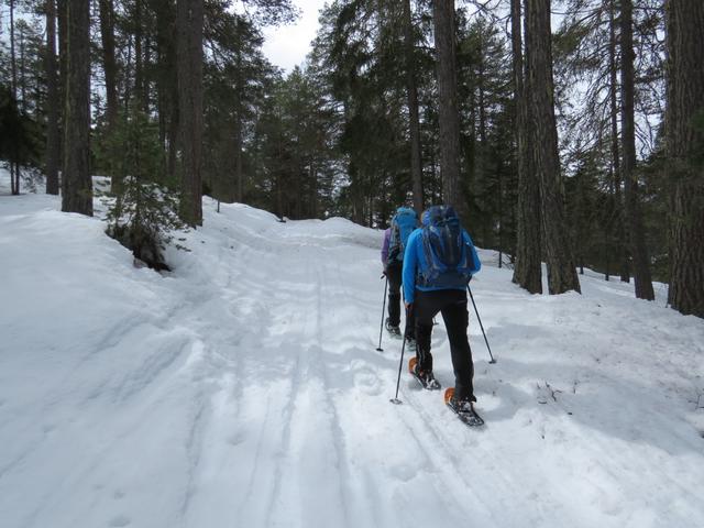 ...und erreichen bei Punkt 1506 m.ü.M. wieder die Strasse