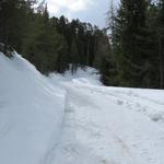 ab jetzt führt unsere Schneeschuhwanderung alles der Strasse entlang hinein ins Val S-charl