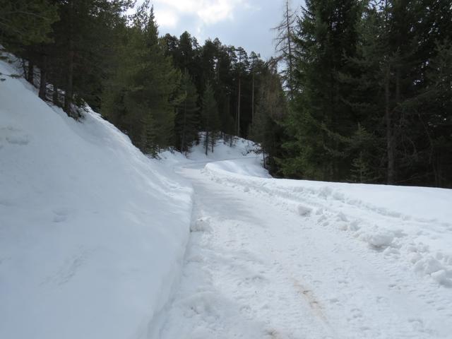 ab jetzt führt unsere Schneeschuhwanderung alles der Strasse entlang hinein ins Val S-charl