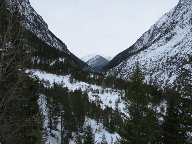 Blick ins Val S-charl