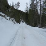 der Wanderweg führt uns nun durch einen Wald