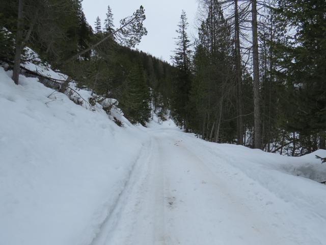 der Wanderweg führt uns nun durch einen Wald