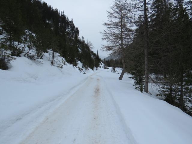 einfach schön durch so einem Winterwald zu laufen