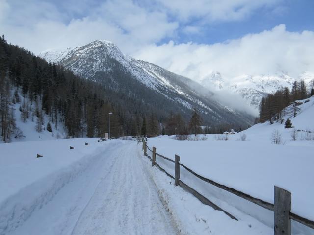 mit Blick auf den Piz Pisoc, verlassen wir S-charl