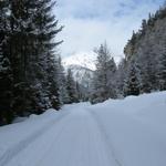 auf dem gleichen Weg wie wir gekommen sind, geht es wieder zurück