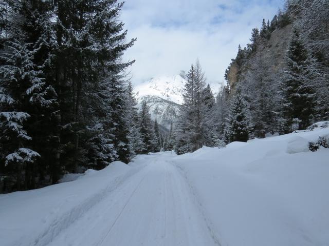 auf dem gleichen Weg wie wir gekommen sind, geht es wieder zurück