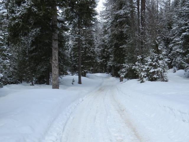 durch den tiefverschneiten Wald