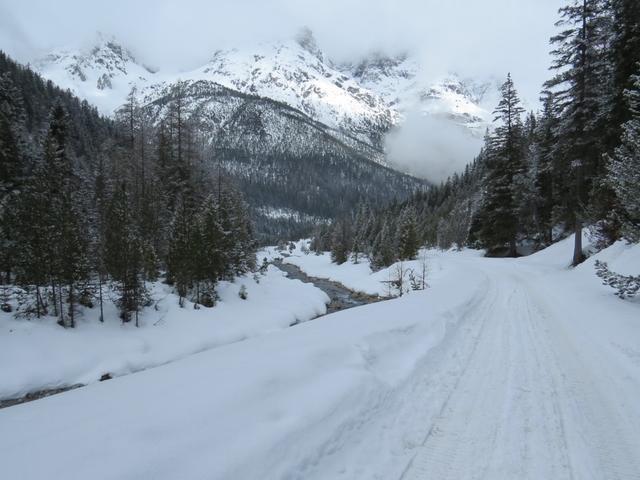 auf dem Weg nach Pradatsch