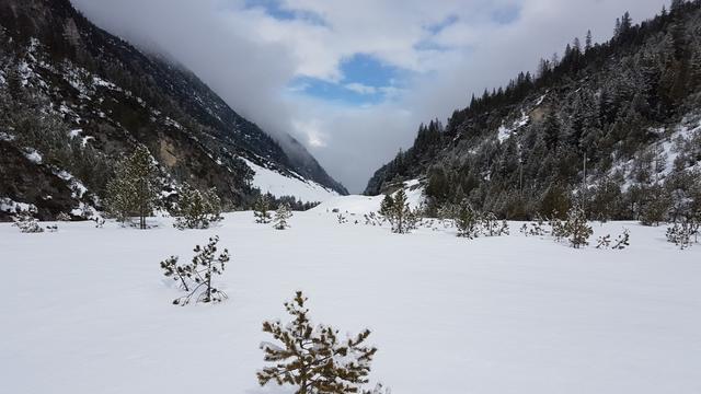 wir verlassen die Strasse und ziehen eine Spur durch den Tiefschnee