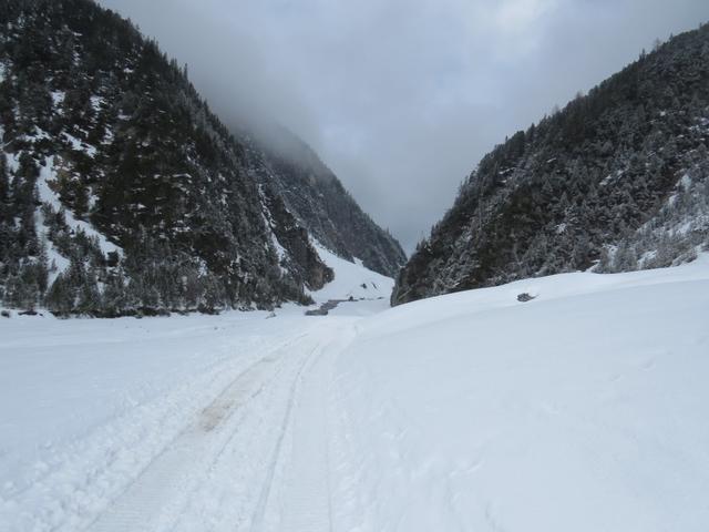 kurz nach Punkt 1630 m.ü.M...