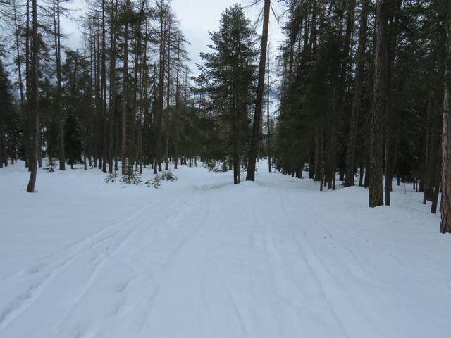 ...und laufen mit den Schneeschuhen über Plan San Jon hinunter zu Punkt 1375 m.ü.M.