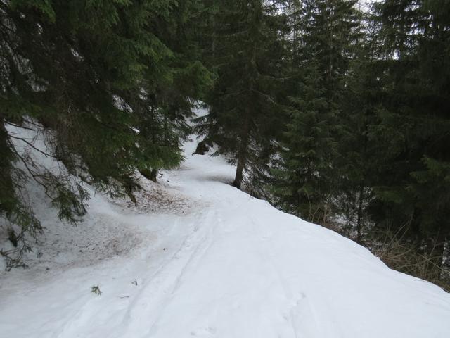 einfach schön mit den Schneeschuhen, so hinunter zu laufen