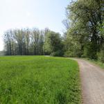 der Bodensee Rundweg führt nicht durch Eriskirch, sondern führt rechts am Dorf vorbei