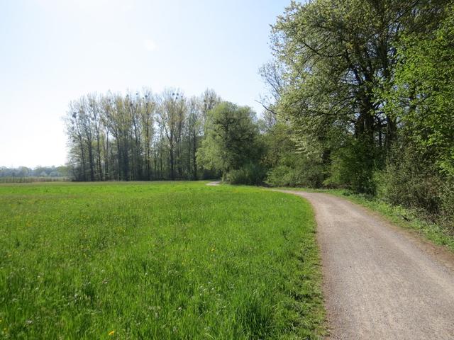 der Bodensee Rundweg führt nicht durch Eriskirch, sondern führt rechts am Dorf vorbei