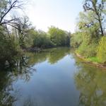 wir überqueren den kleinen Fluss Schussen