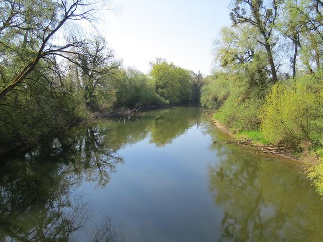 wir überqueren den kleinen Fluss Schussen